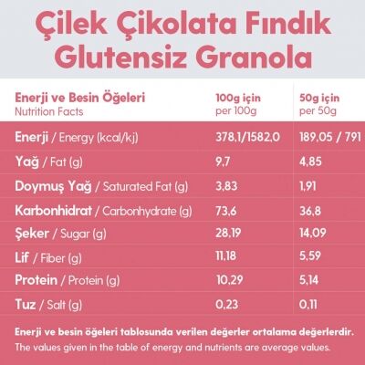 Granola Çikolata Çilek Fındık – Glutensiz Vegan Şekeri Meyveden Katkısız (2 x 100G)